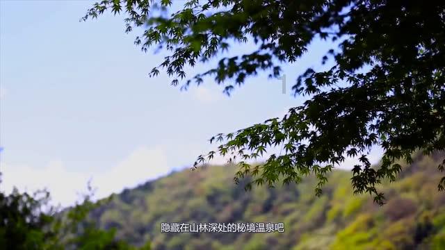 花与剑